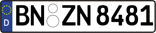 BN-ZN8481