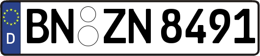 BN-ZN8491