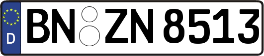 BN-ZN8513