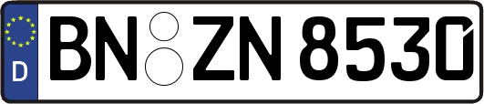 BN-ZN8530