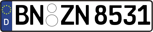 BN-ZN8531
