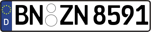 BN-ZN8591