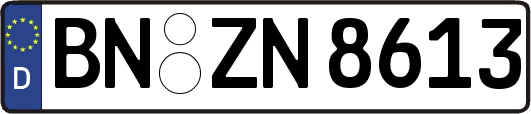 BN-ZN8613