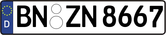 BN-ZN8667