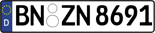BN-ZN8691