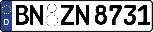 BN-ZN8731