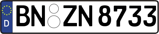 BN-ZN8733