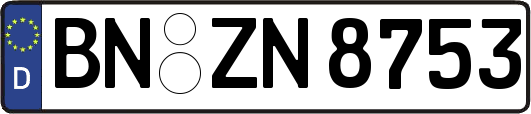BN-ZN8753