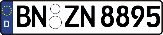 BN-ZN8895