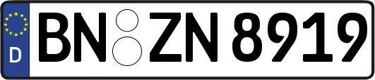 BN-ZN8919