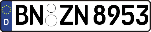 BN-ZN8953