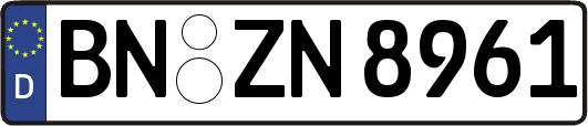 BN-ZN8961