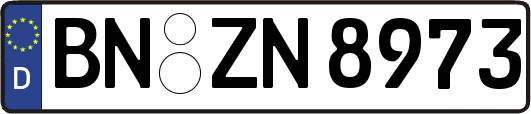 BN-ZN8973