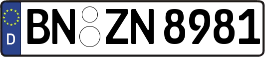 BN-ZN8981