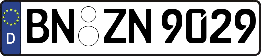 BN-ZN9029