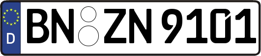 BN-ZN9101