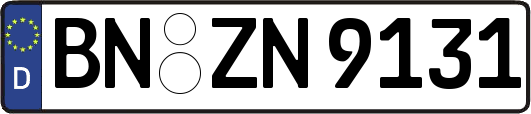 BN-ZN9131