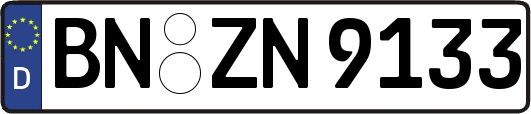 BN-ZN9133
