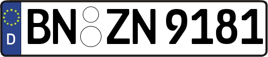 BN-ZN9181