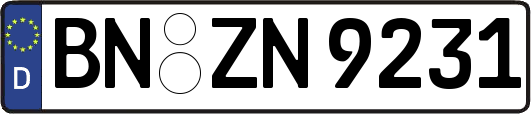 BN-ZN9231
