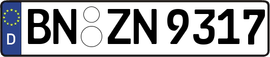 BN-ZN9317