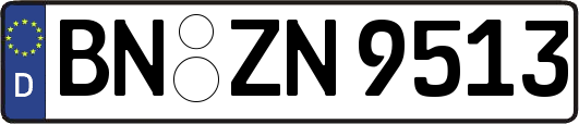 BN-ZN9513