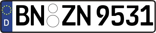 BN-ZN9531