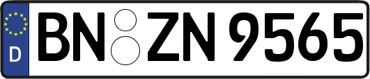 BN-ZN9565