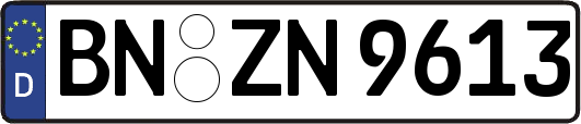 BN-ZN9613