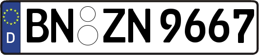 BN-ZN9667