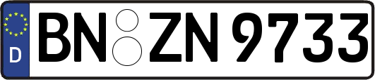 BN-ZN9733