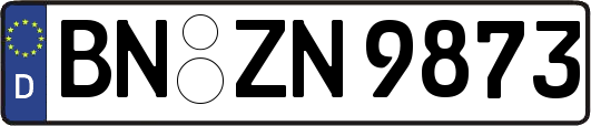 BN-ZN9873