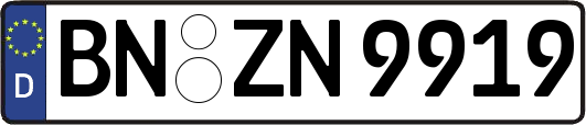 BN-ZN9919