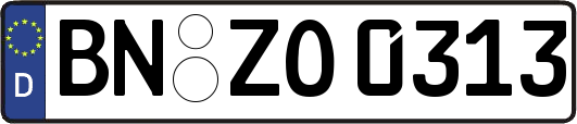 BN-ZO0313