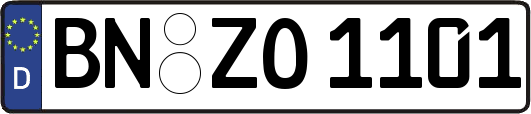 BN-ZO1101
