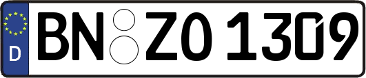 BN-ZO1309