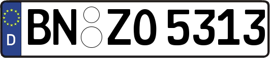 BN-ZO5313