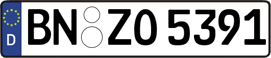 BN-ZO5391