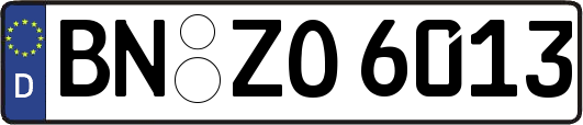 BN-ZO6013