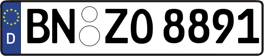 BN-ZO8891