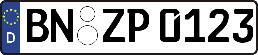 BN-ZP0123