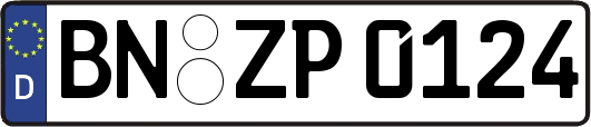 BN-ZP0124
