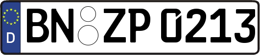 BN-ZP0213