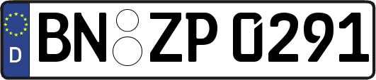 BN-ZP0291
