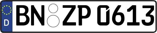 BN-ZP0613