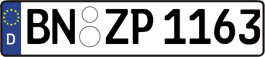 BN-ZP1163