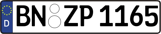 BN-ZP1165