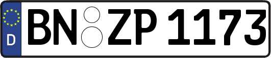 BN-ZP1173