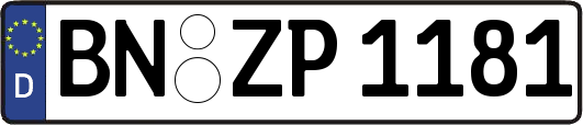BN-ZP1181