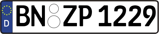 BN-ZP1229
